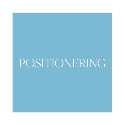 online positionering